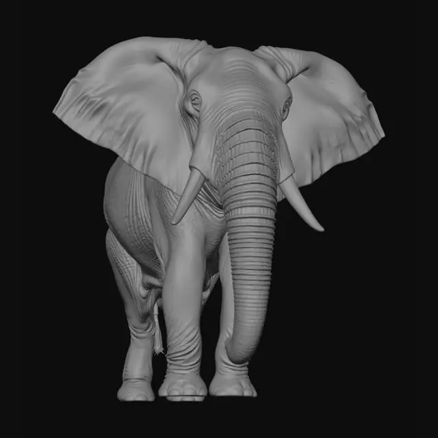 3D model for elefant in der Savanne am Teich
