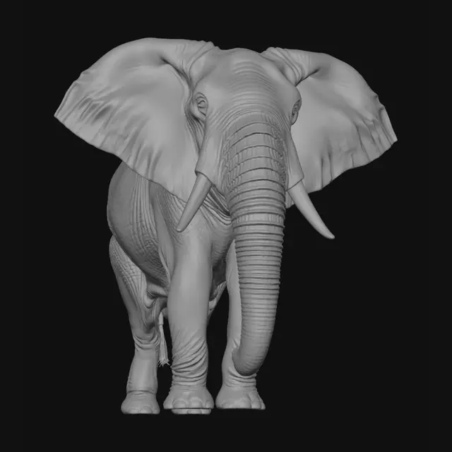 3D model for elefant in der Savanne am Teich