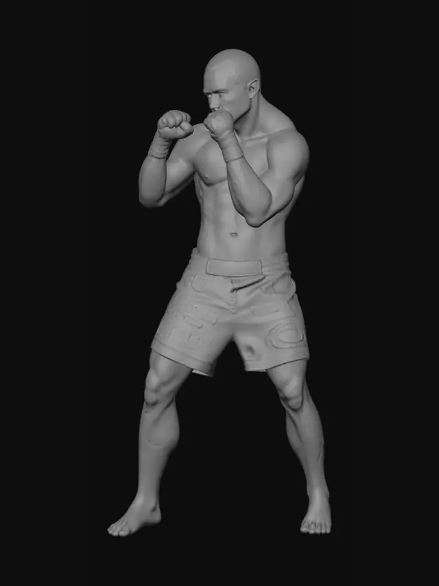 3D model for Boxer in Stance