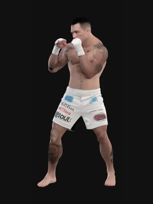 3D model for Boxer in Stance