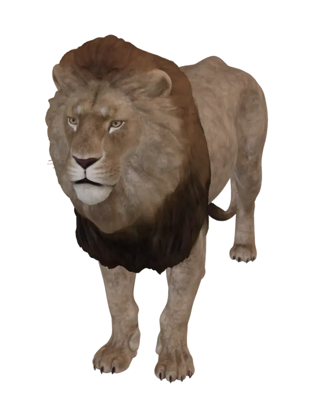 3D model for Regal Lion Portrait