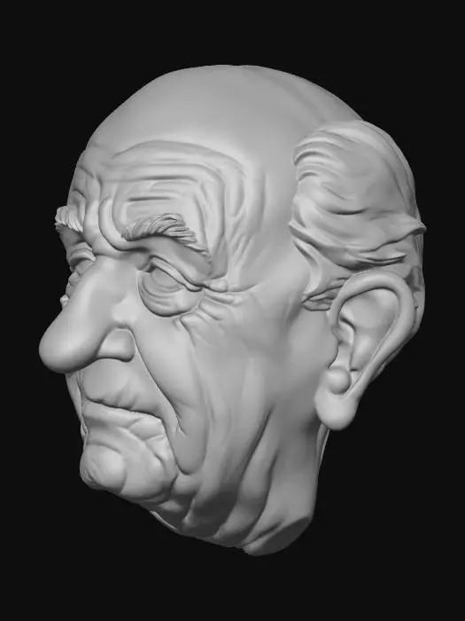 3D model for Wrinkles of Time