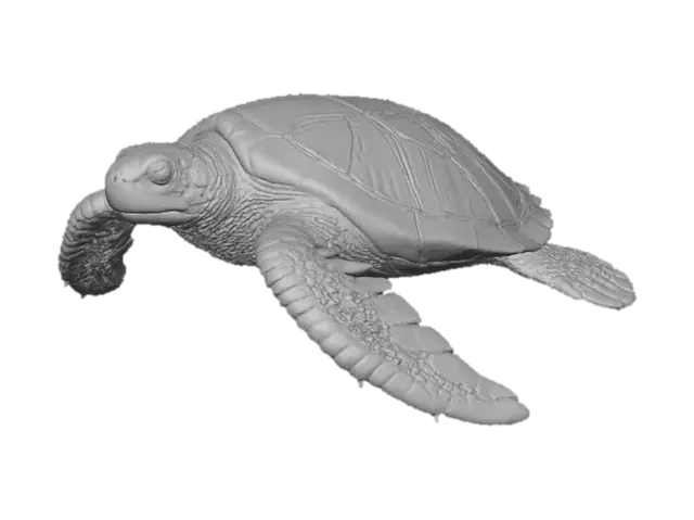 3D model for Sea Glide