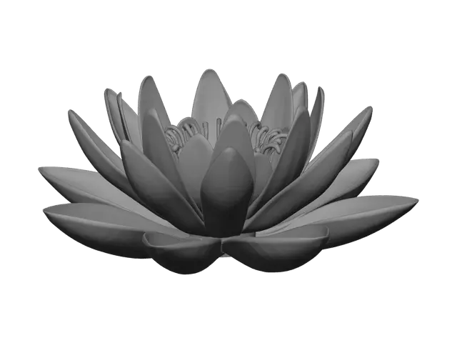 3D model for Waterlily