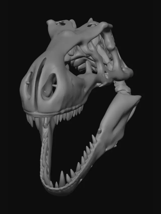 3D model for a Trex Skull