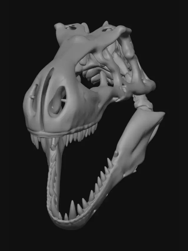 3D model for a Trex Skull