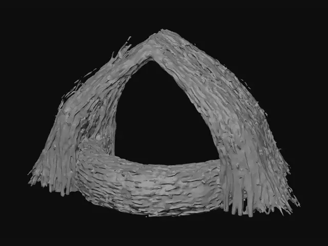 3D model for Hay Ring