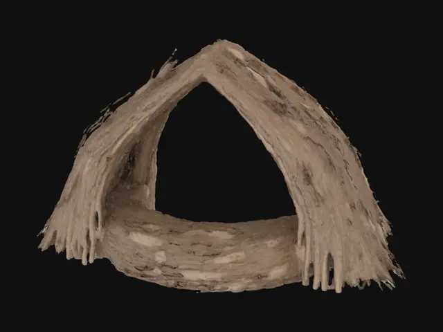3D model for Hay Ring