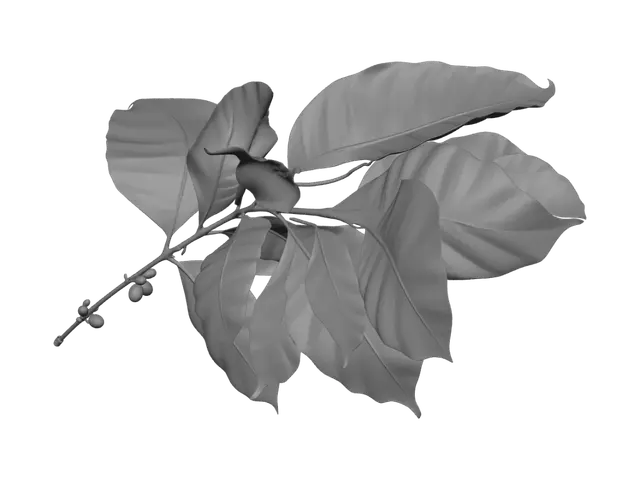 3D model for Branch with Green Leaves and Berries
