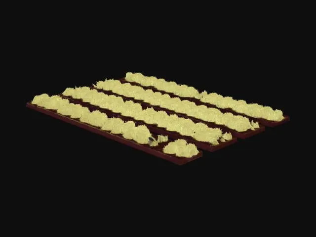 3D model for > Create a clean, realistic 3D model of several long, narrow agricultural field strips placed side by side. Each strip should be 20 meters long and 2 meters wide, with a soil base 0.25 m thick. Use separate meshes for each strip.
>
> Add different grain crops on each strip: rye, barley, wheat, oats, spelt, and triticale. Represent crops as simplified geometry or particle-like vegetation with soft, natural variation, not high-detail plants.
>
> Soil material: dark brown, slightly rough, realistic ground texture.
> Vegetation material: soft, low-contrast colors, natural gradients, no sharp details.
>
> Style: realistic but clean, low-contrast, low poly, soft transitions, similar to aerial agricultural visualization.
>