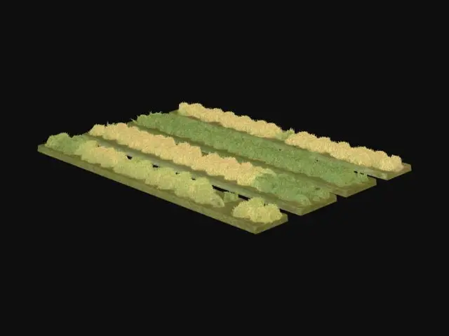 3D model for > Create a clean, realistic 3D model of several long, narrow agricultural field strips placed side by side. Each strip should be 20 meters long and 2 meters wide, with a soil base 0.25 m thick. Use separate meshes for each strip.
>
> Add different grain crops on each strip: rye, barley, wheat, oats, spelt, and triticale. Represent crops as simplified geometry or particle-like vegetation with soft, natural variation, not high-detail plants.
>
> Soil material: dark brown, slightly rough, realistic ground texture.
> Vegetation material: soft, low-contrast colors, natural gradients, no sharp details.
>
> Style: realistic but clean, low-contrast, low poly, soft transitions, similar to aerial agricultural visualization.
>