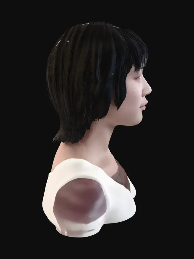 3D model for Serene Portrait