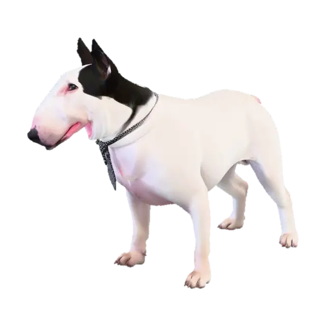 maya - Terrier 3D model, vytvořený pomocí AI
