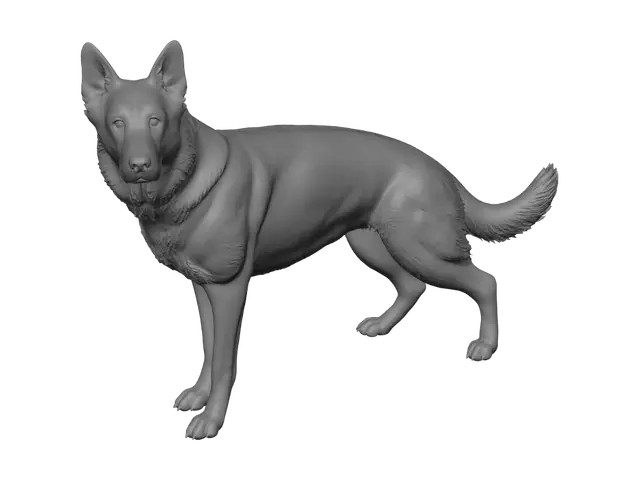 3D model for 
