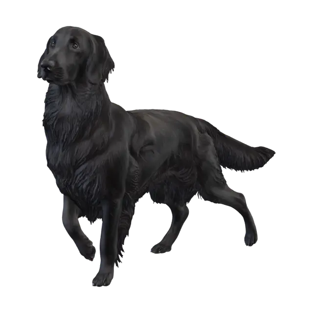 3D model for 