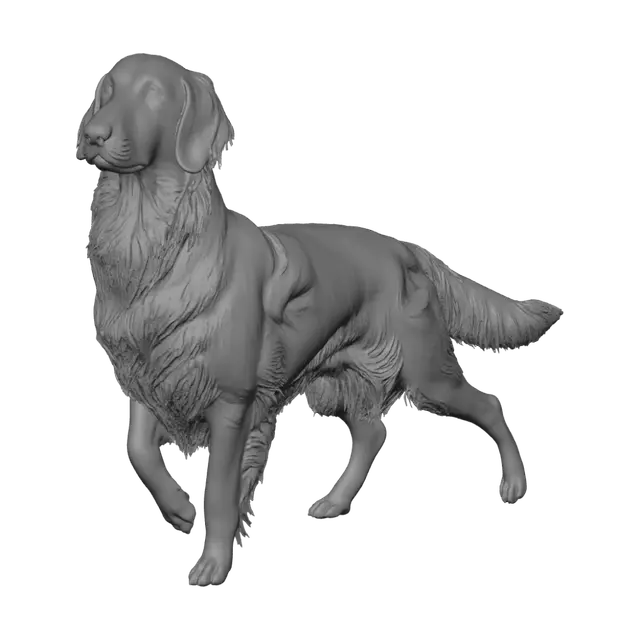 3D model for 