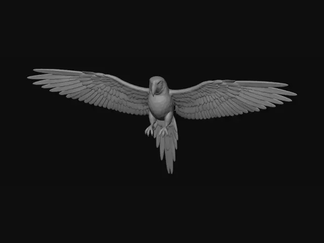 3D model for Rainbow-winged Macaw