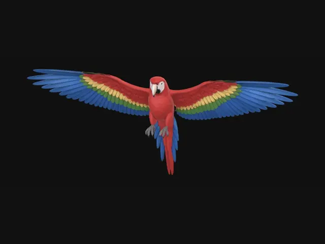 3D model for Rainbow-winged Macaw