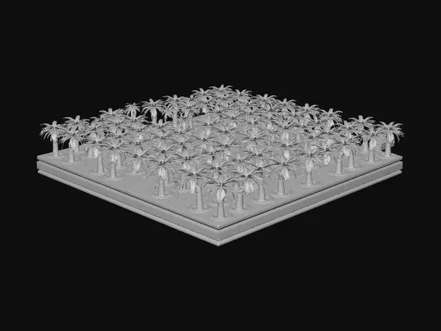 3D model for Precision Palm Orchard