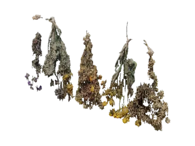 Herbal Harmony - Health 3D model, vytvořený pomocí AI