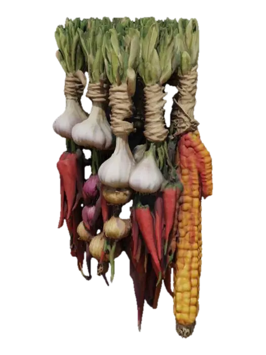 Create a high-detail 3D model of hanging braids of vegetables, as seen in rustic… - Corn 3D model, vytvořený pomocí AI