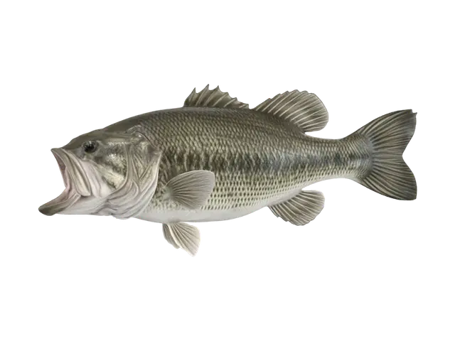 generate a realistic 5 pound largemouth bass in color to be 3d printed. The… 3D model, vytvořený pomocí AI