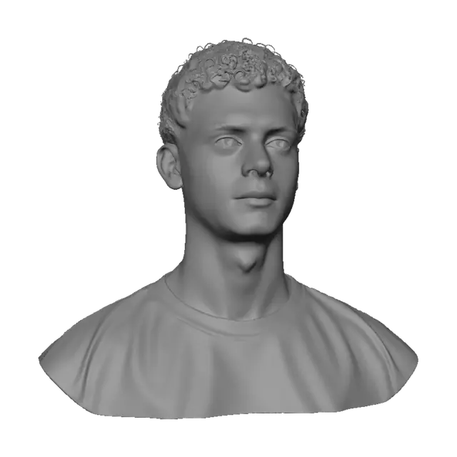 3D model for Portrait of a Curly-Haired Young Man