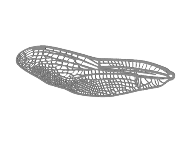 3D model for Dragonfly Wing Wireframe