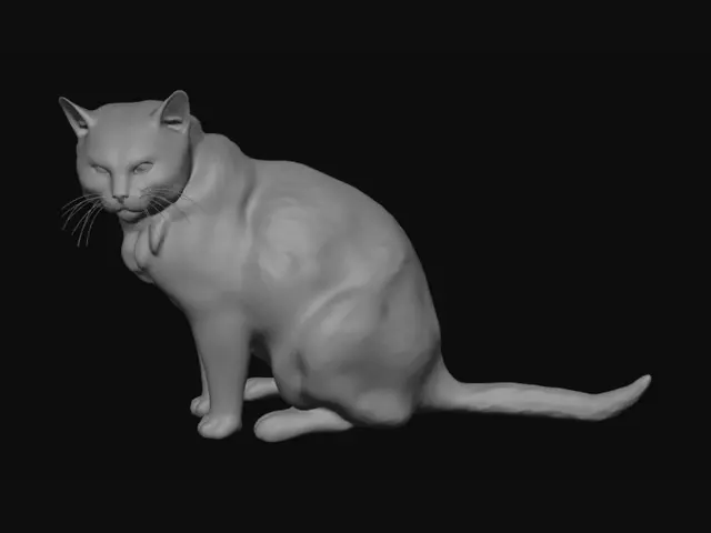 3D model for White Cat by a Scratched Car