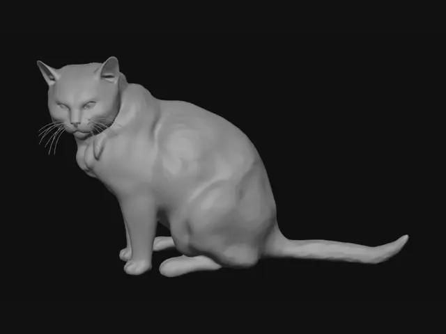 3D model for White Cat by a Scratched Car