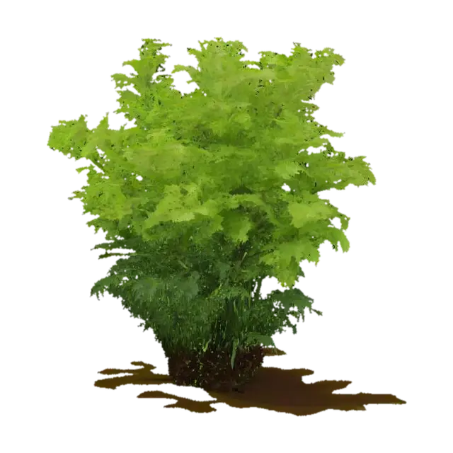 Lush Fern Bush - Leaves 3D model, vytvořený pomocí AI