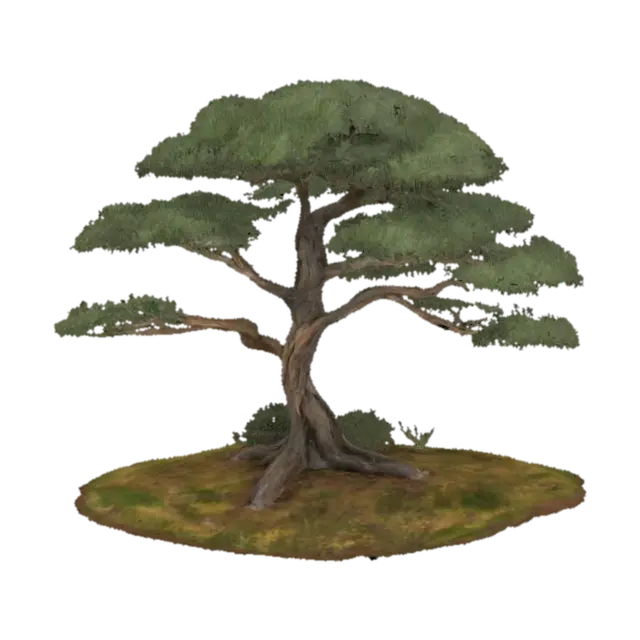 Maritime Pine 3D model, vytvořený pomocí AI