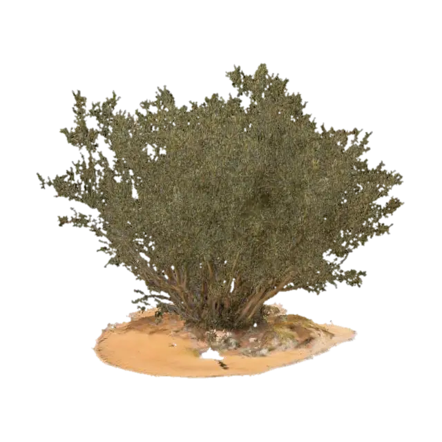 Arid Shrub 3D model, vytvořený pomocí AI