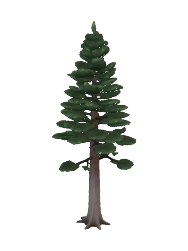 3D model for 1. Pine Tree (tall conifer)
Tall, narrow silhouette with dark green needled canopy and grey-brown trunk. Slightly windswept lean.
Scale: ~8–12 world units tall · Polys: 800–1,500
Prompt: "A tall low-poly stylized pine tree, conical evergreen, dark green needles, weathered brown bark, hand-painted texture, medieval fantasy battlefield, game ready"