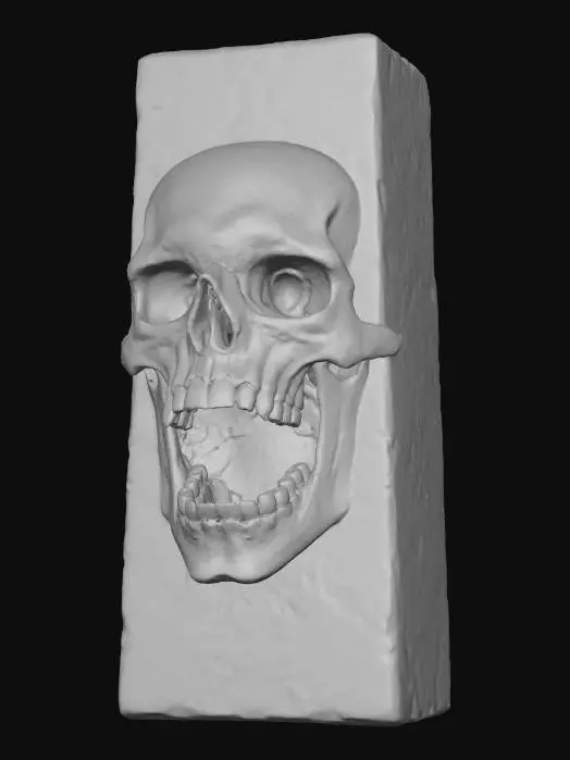 3D model for Silent Echo