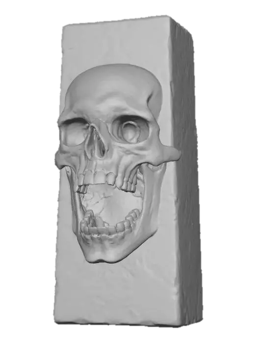3D model for Silent Echo