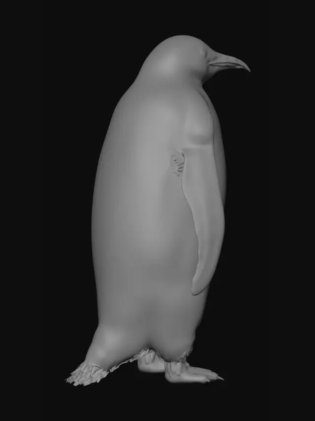 3D model for Emperor Penguin