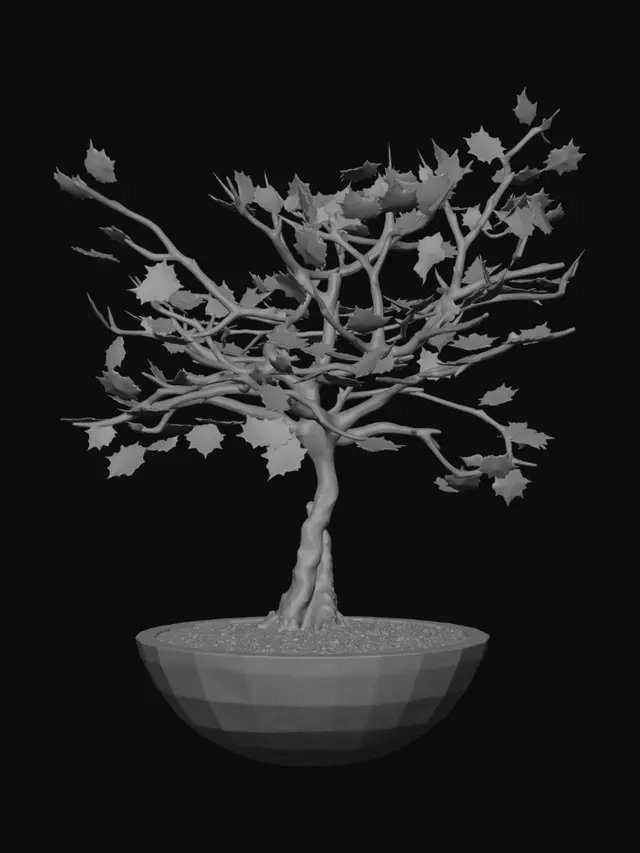 3D model for Midnight Bonsai