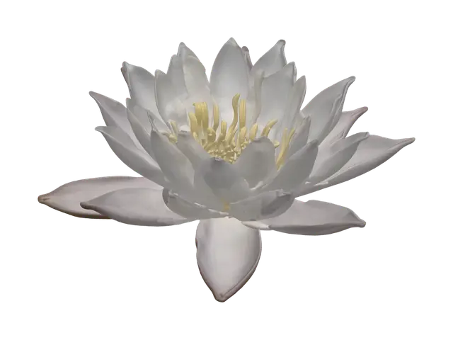 睡蓮 - Symmetry 3D model, vytvořený pomocí AI