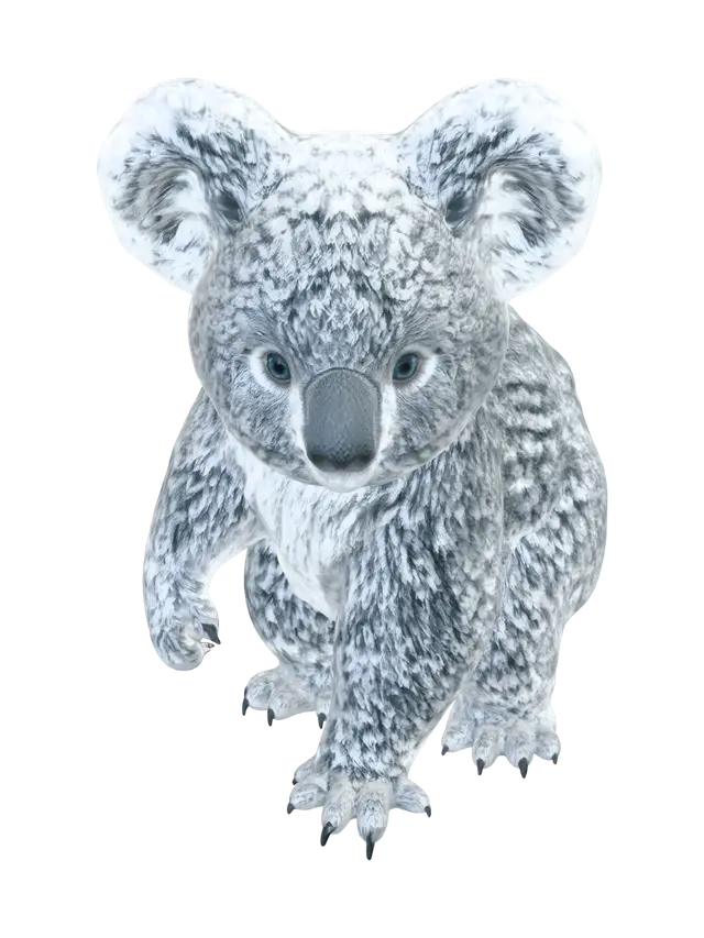 3D model for Arctic Koala