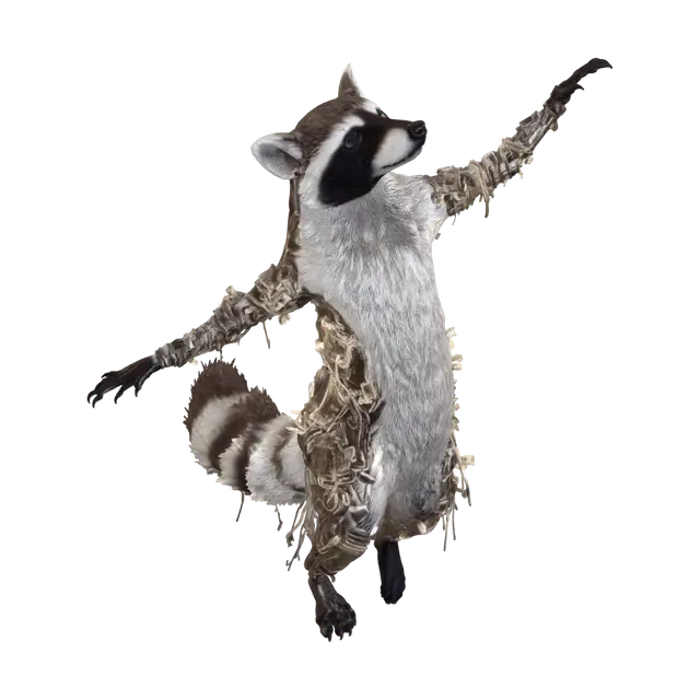 3D model for Luminescent Raccoon