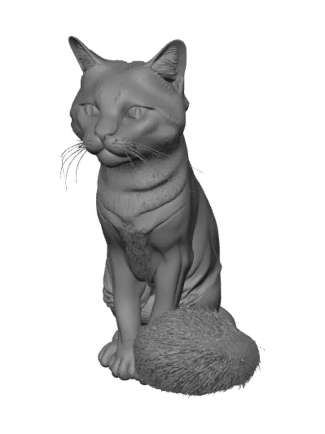 3D model for Shadow in a Silver Coat