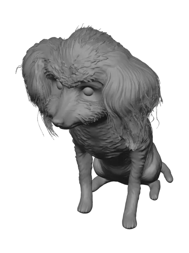 3D model for Curly Cloud Poodle