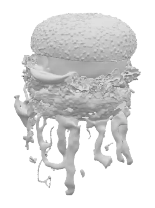 3D model for Burger Burst