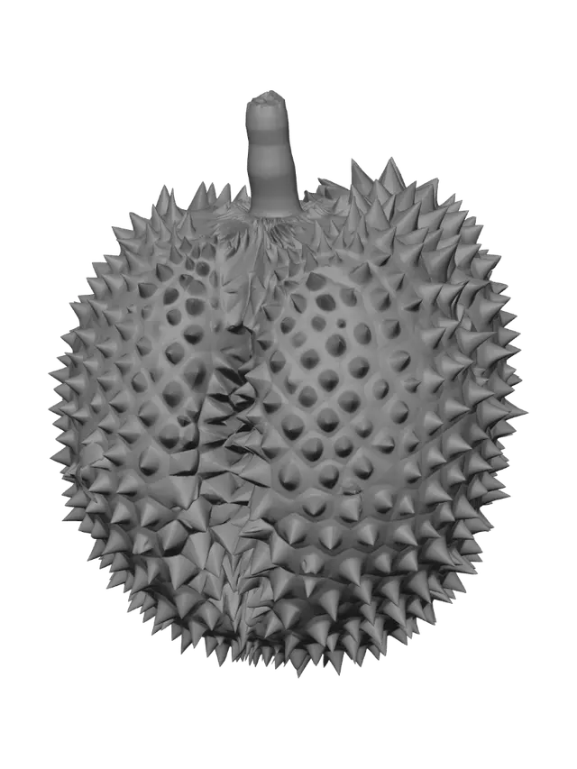 3D model for Golden Durian
