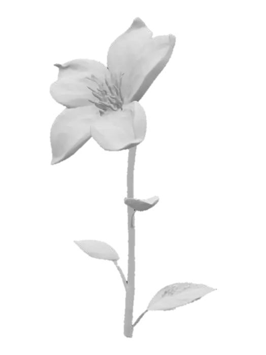 3D model for jasmine, flower, with tall stem well detailed