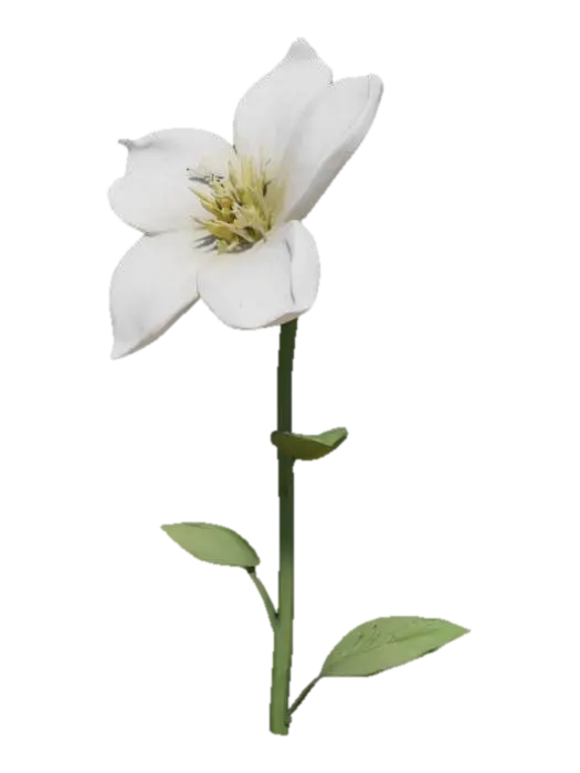 3D model for jasmine, flower, with tall stem well detailed