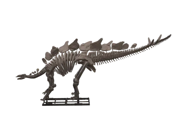 stegosaurus-skeleton-3d - Darkbrown 3D model, vytvořený pomocí AI