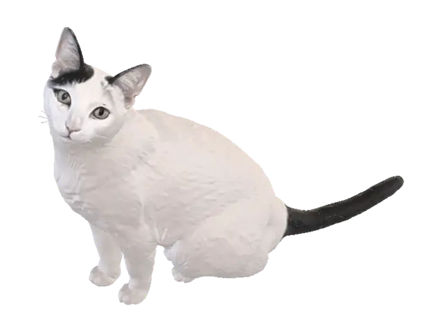 Modello 3D Mimi, My Cat - Stray, generato dall’IA