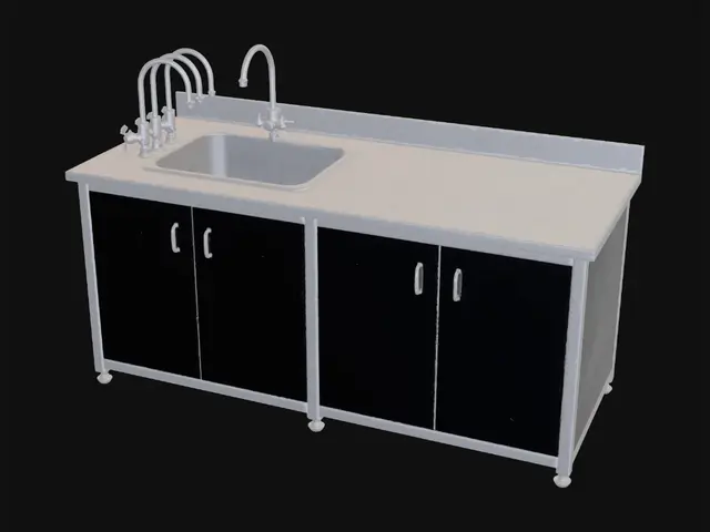 3D model for Multi-Faucet Stainless Steel Sink Station